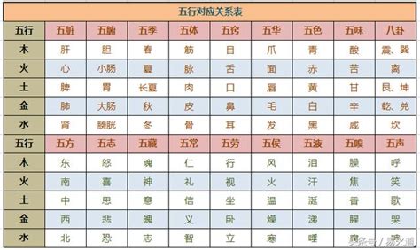 八字看職業|細選【八字五行職業】，屬性對應必事半功倍！【社會新鮮人必看】